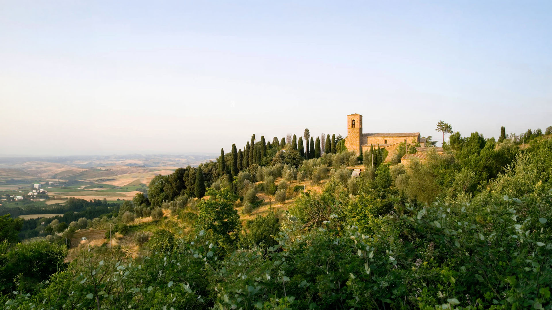 Castello di Argiano, the Sesti estate